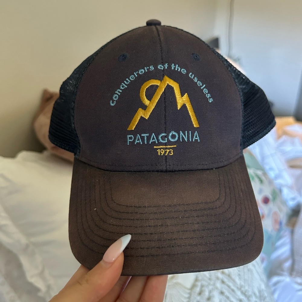 Patagonia Baseball Hat